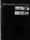 Many Thousands of Dollars Damage Done by Wind (6 Negatives), January 20-21, 1964 [Sleeve 56, Folder a, Box 32]